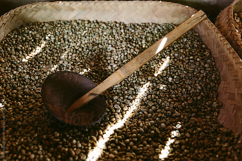 Roasted coffee beans waiting to be ground.