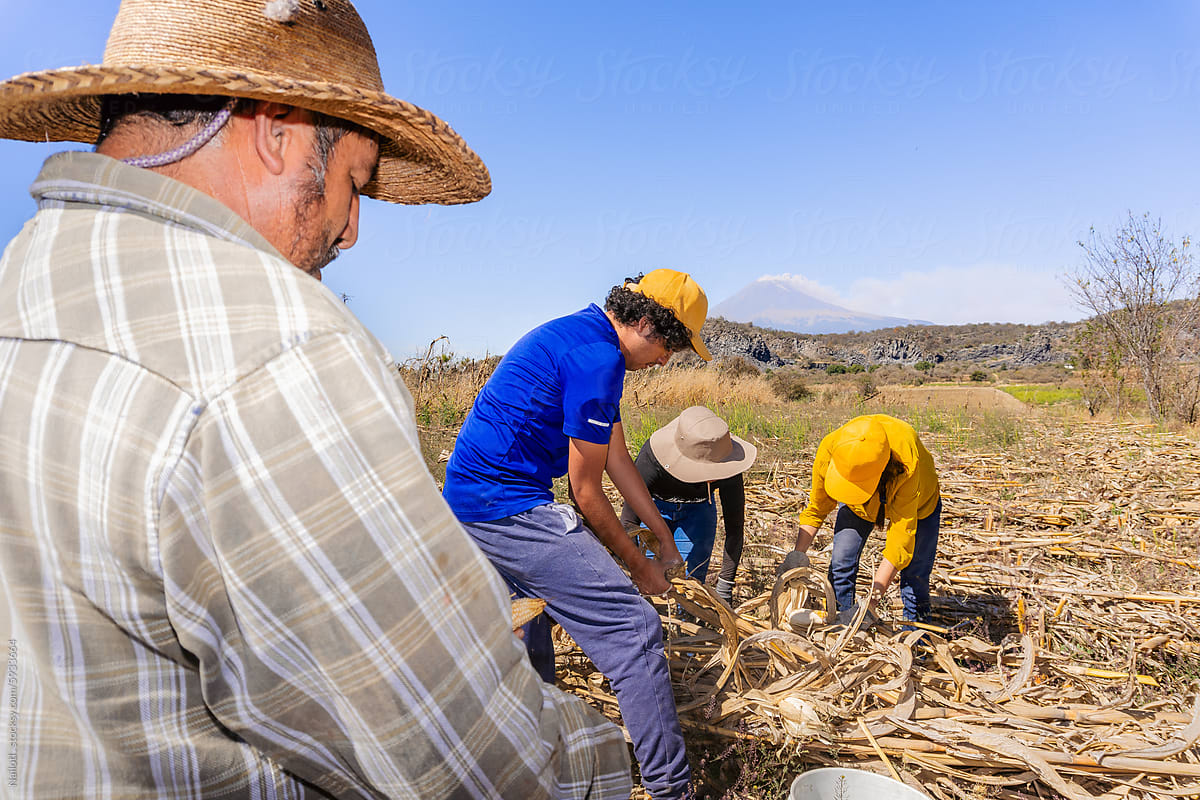 Sustainable agriculture in Mexico