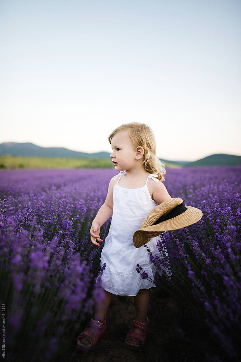 Little girl in blooming violet lavender bushes