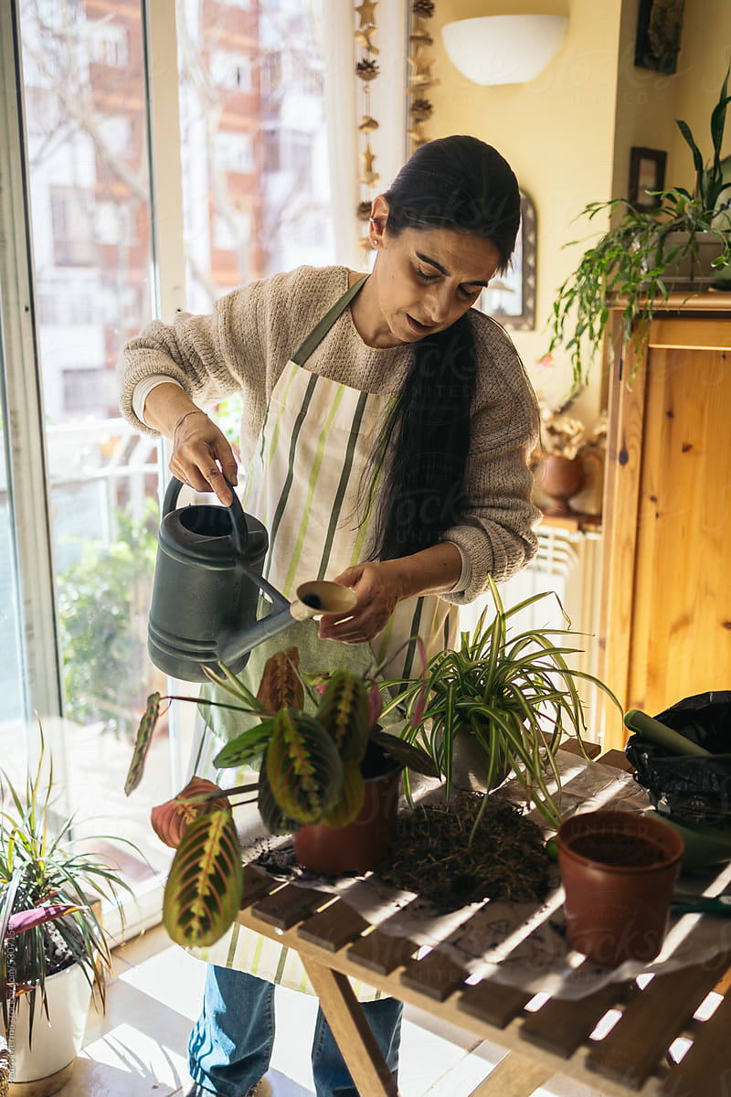 Mature Woman Taking Care Of Plants At Home