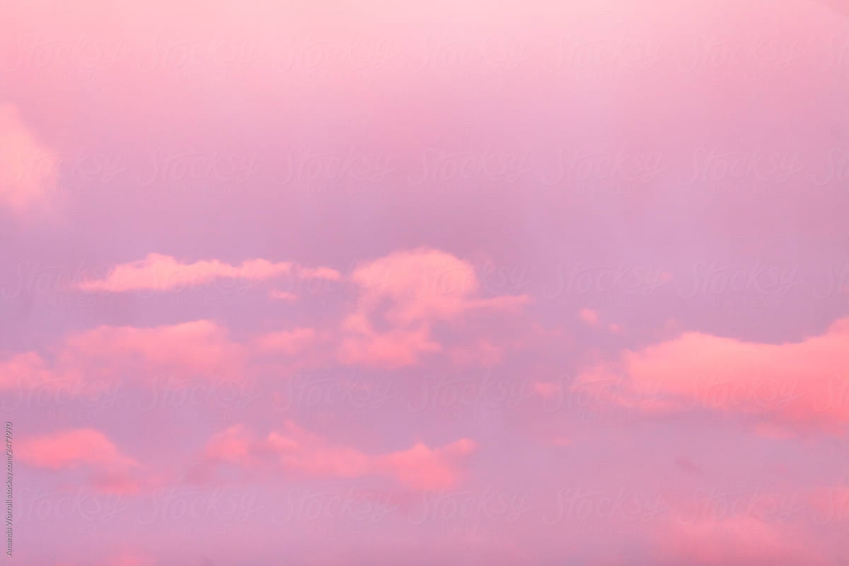 Pink clouds against a violet sky