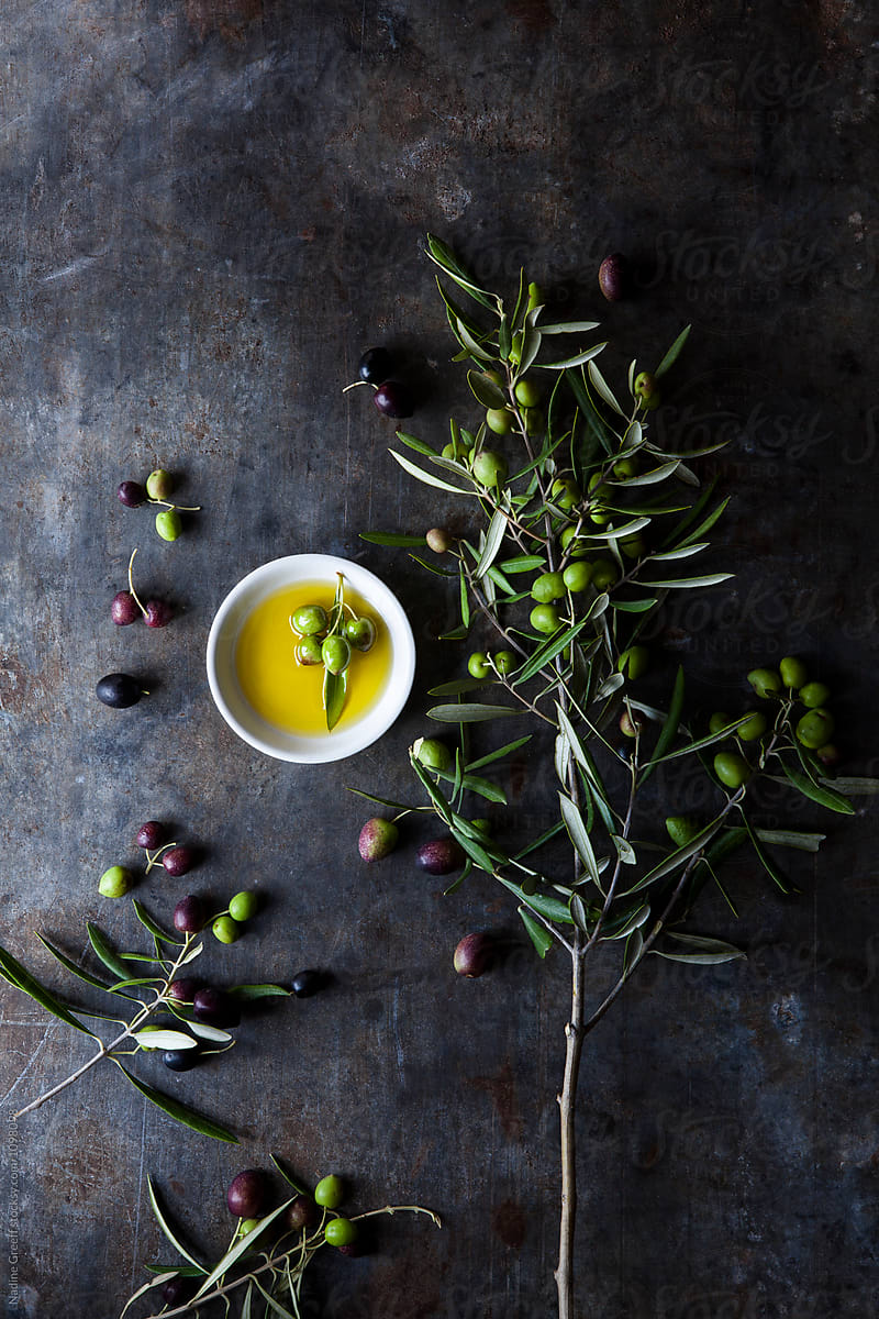 Olive oil with olive tree branch