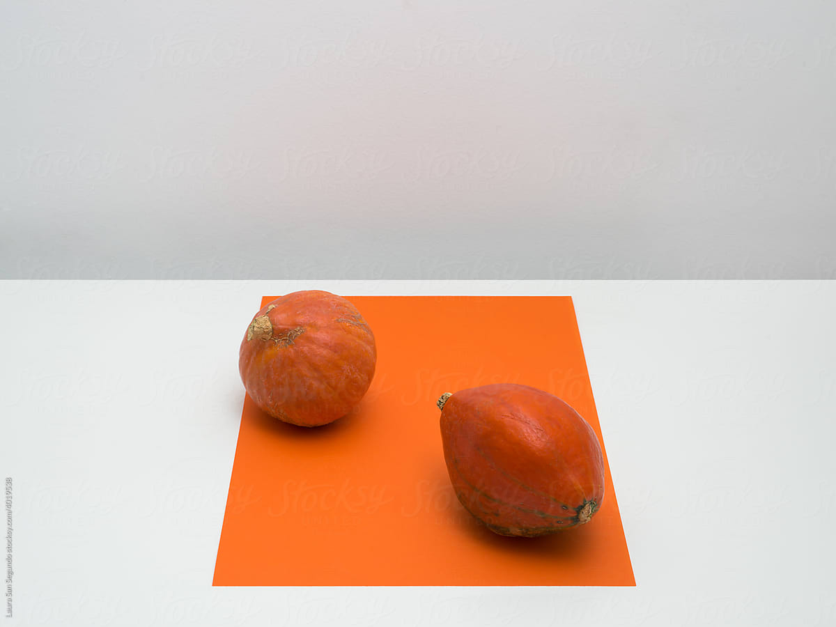 Minimalist still life with two different pumpkins