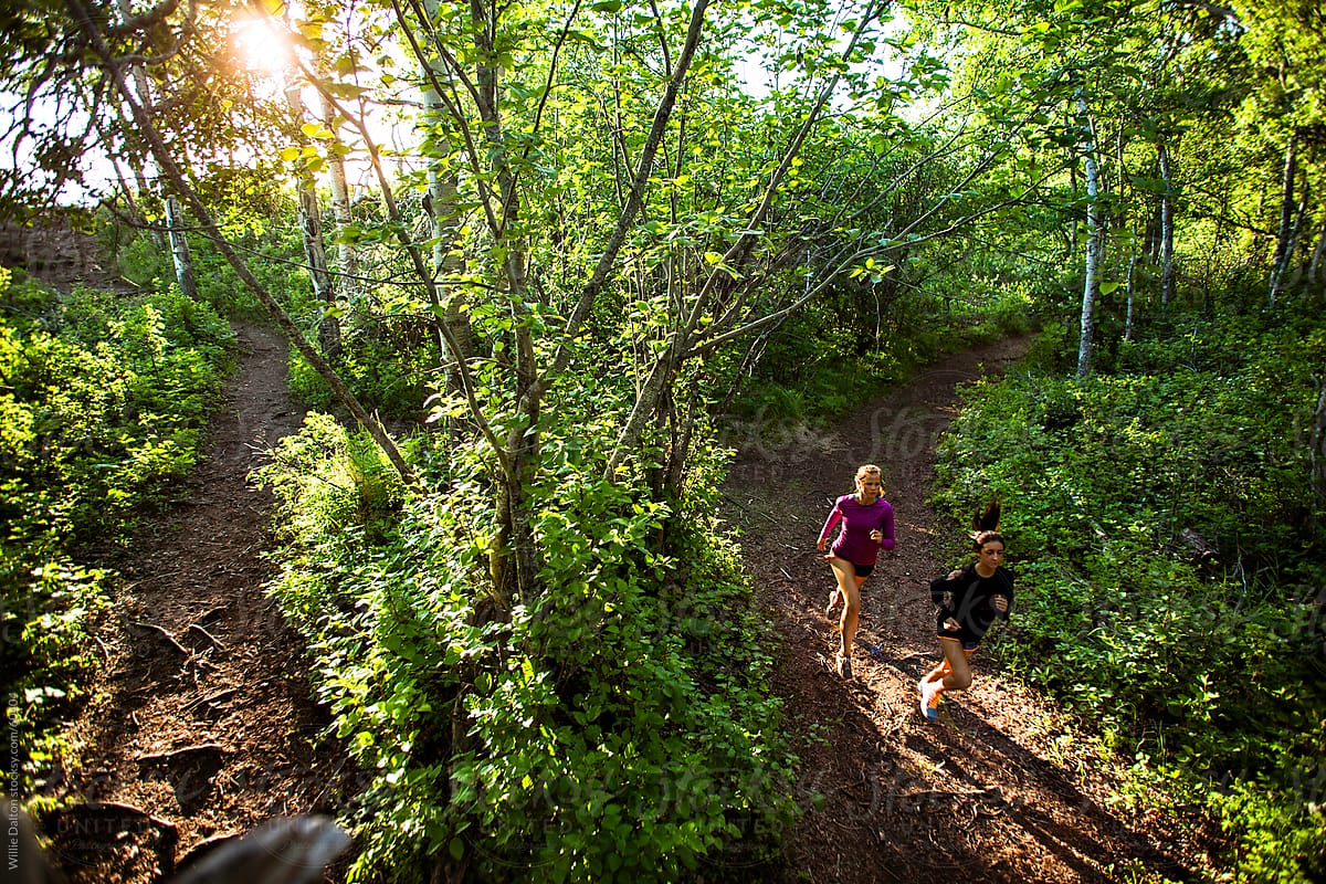 Overhead View of a Sunset Trail Run Through a Wooded Forest