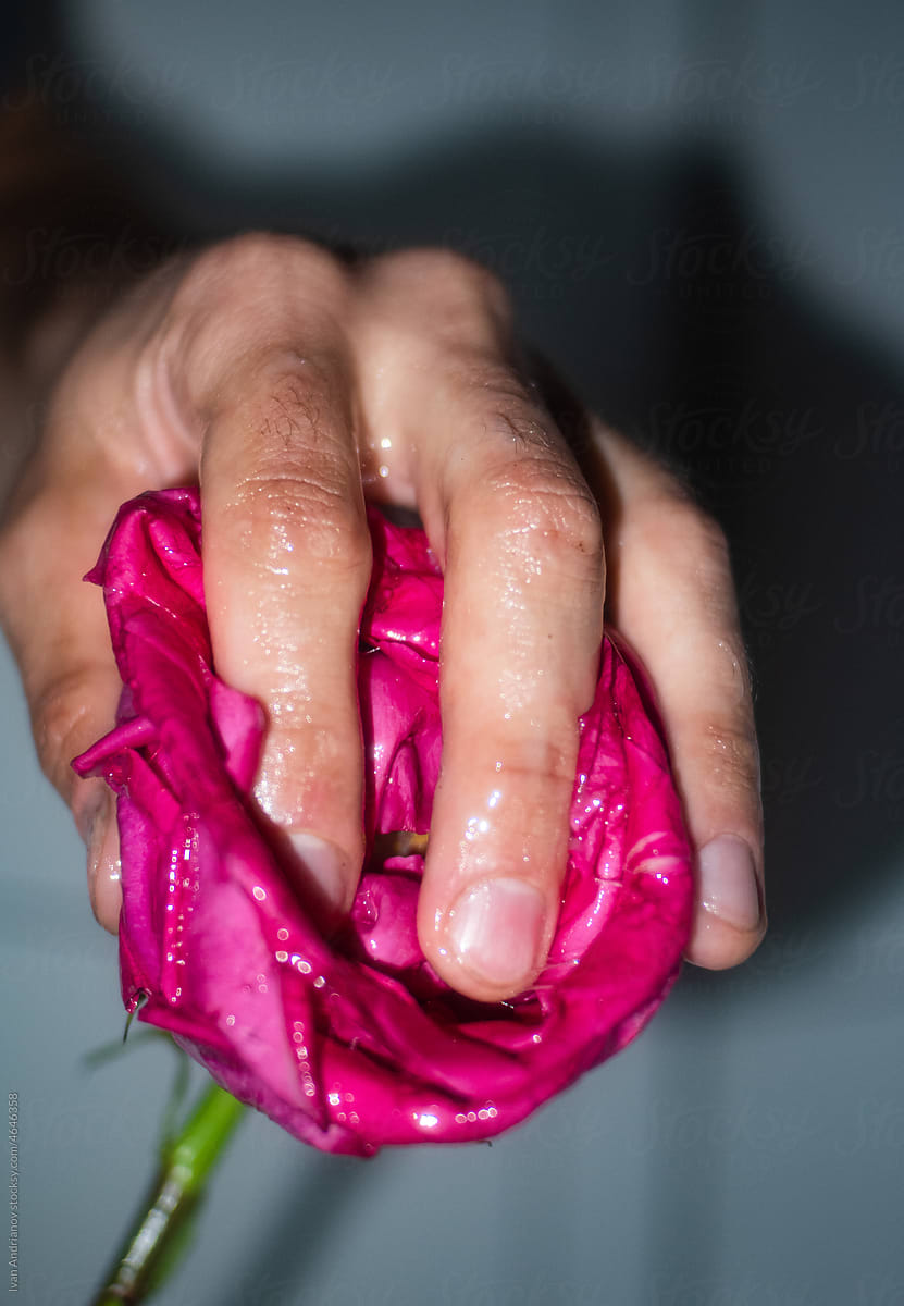 Sensual Hand Touching Wet Flower
