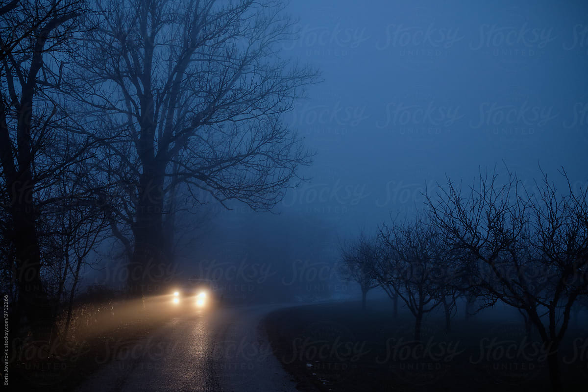 Car Lights On A Misty Road