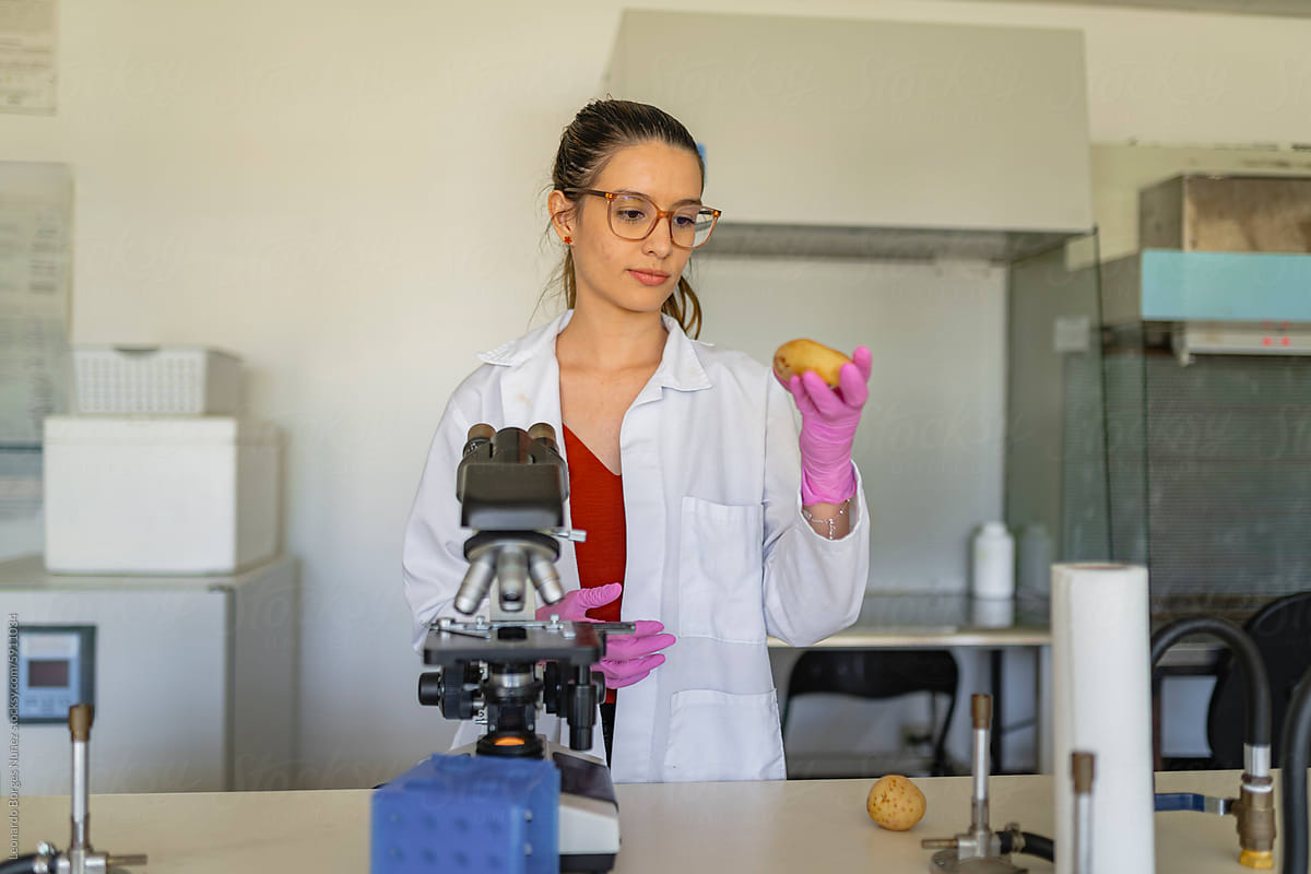 Lab researcher with potato sample for food quality control