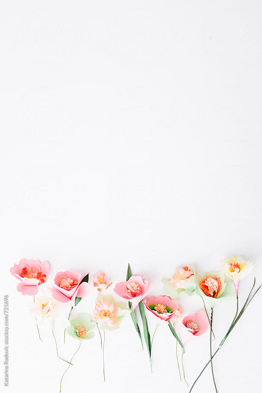 Paper Flowers Arrangement by Katarina Radovic - Stocksy United