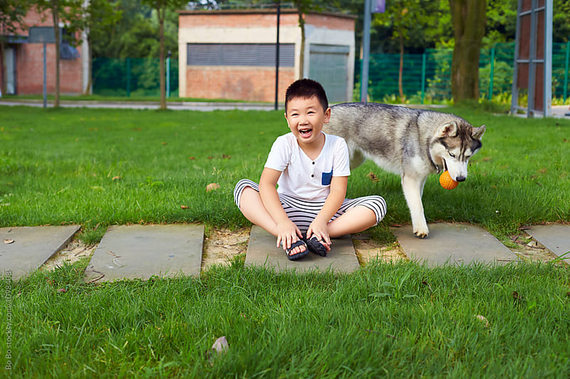 lovely little boy playing with his husky dog outdoor
