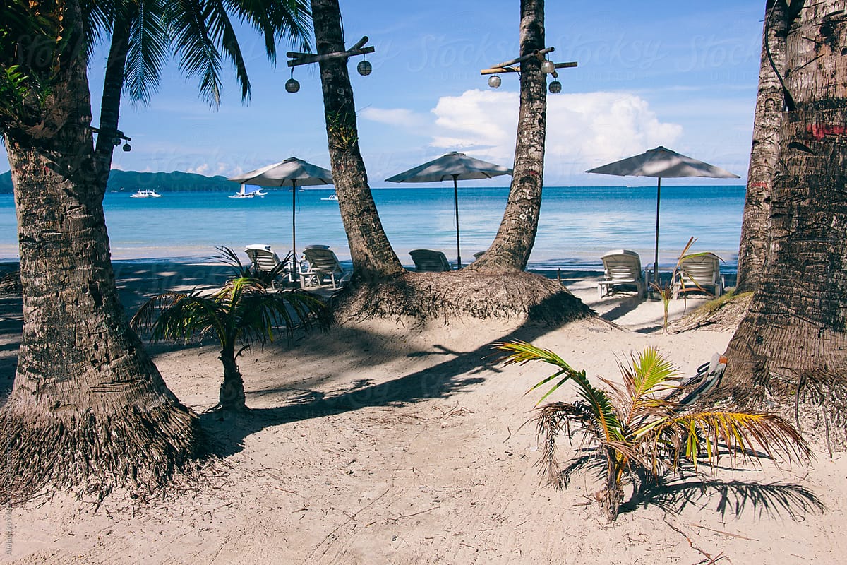 Sunshade And Hammocks On The Beach Of A Tropical Island By Stocksy Contributor Alejandro
