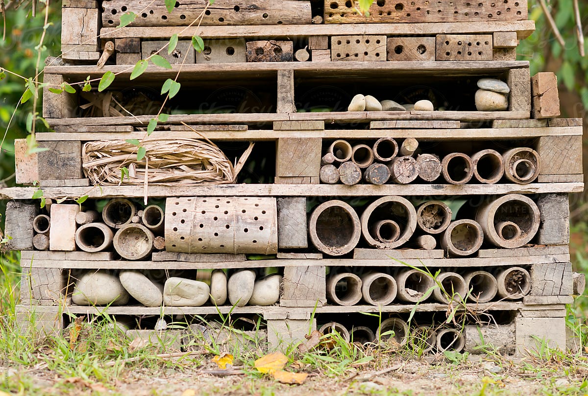 Special manmade insect hotels created from natural materials in garden