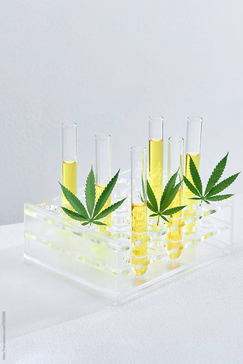 Research of hemp oil in glass tubes