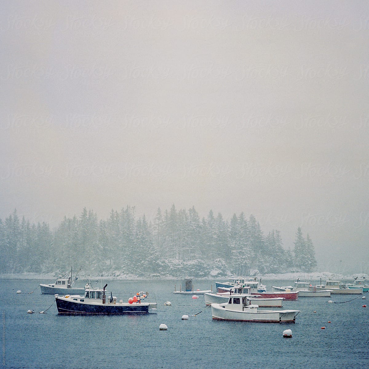 Fishing and lobster boats float in the harbor in Owls Head Maine.