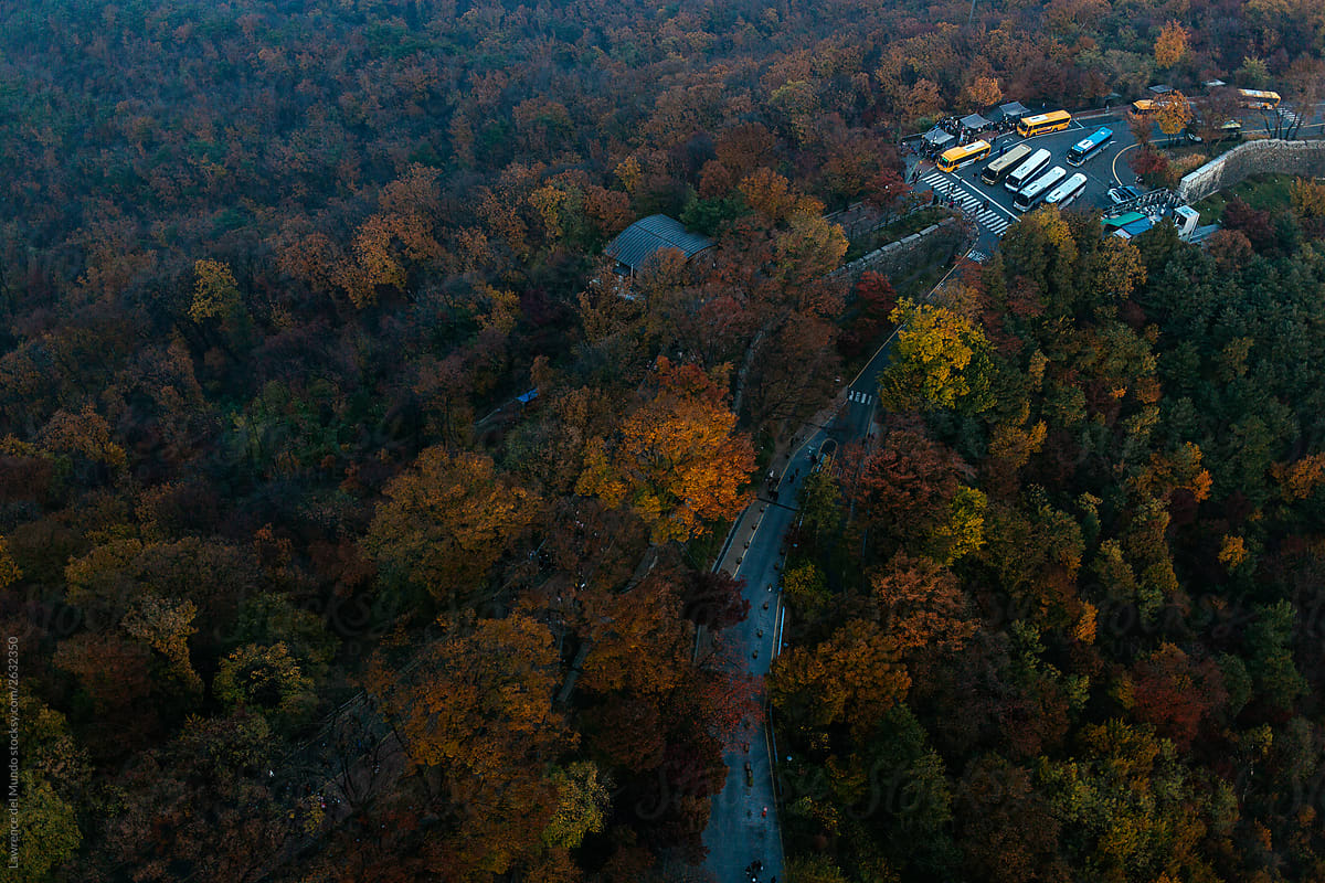 Aerial view of a tourist destination in South Korea reveal the fall colors of the surrounding tree cover.