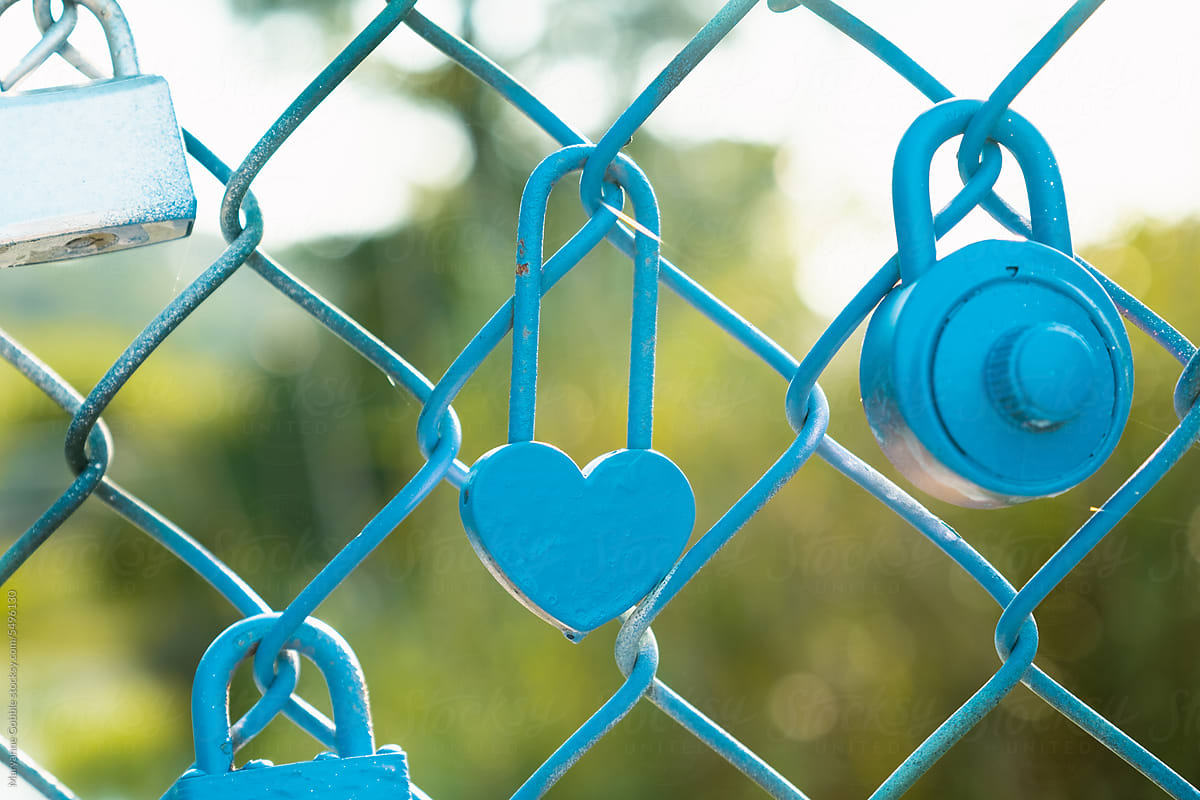 Love Lock Padlocks on Fence