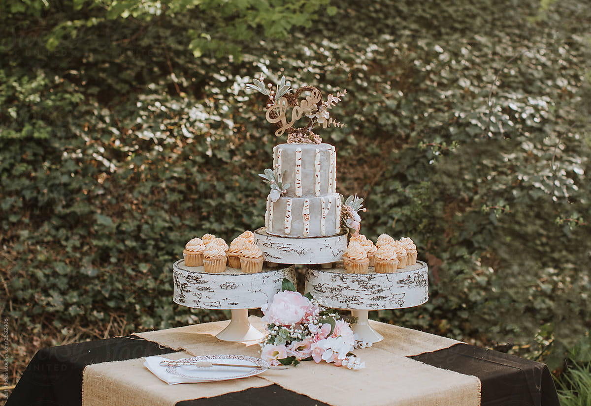 Woodsy Wedding Cake and Cupcakes