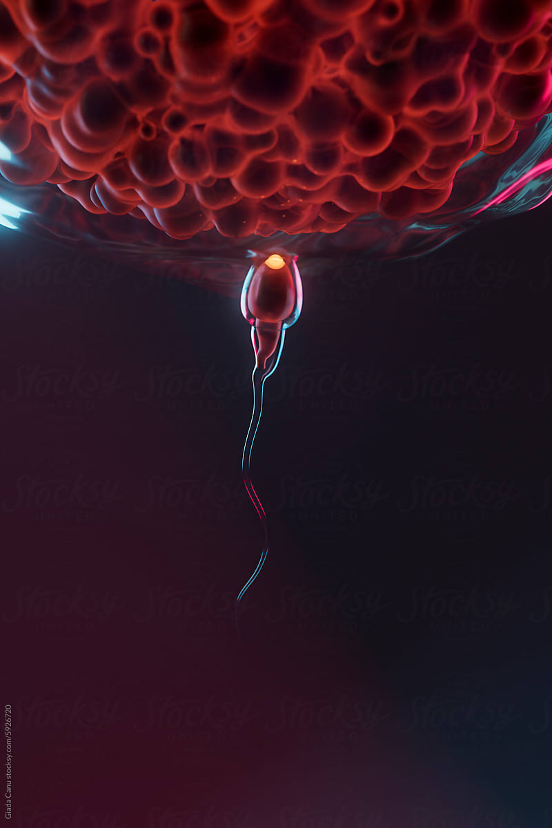 3D Render of Sperm Cell Approaching the Surface of an Egg