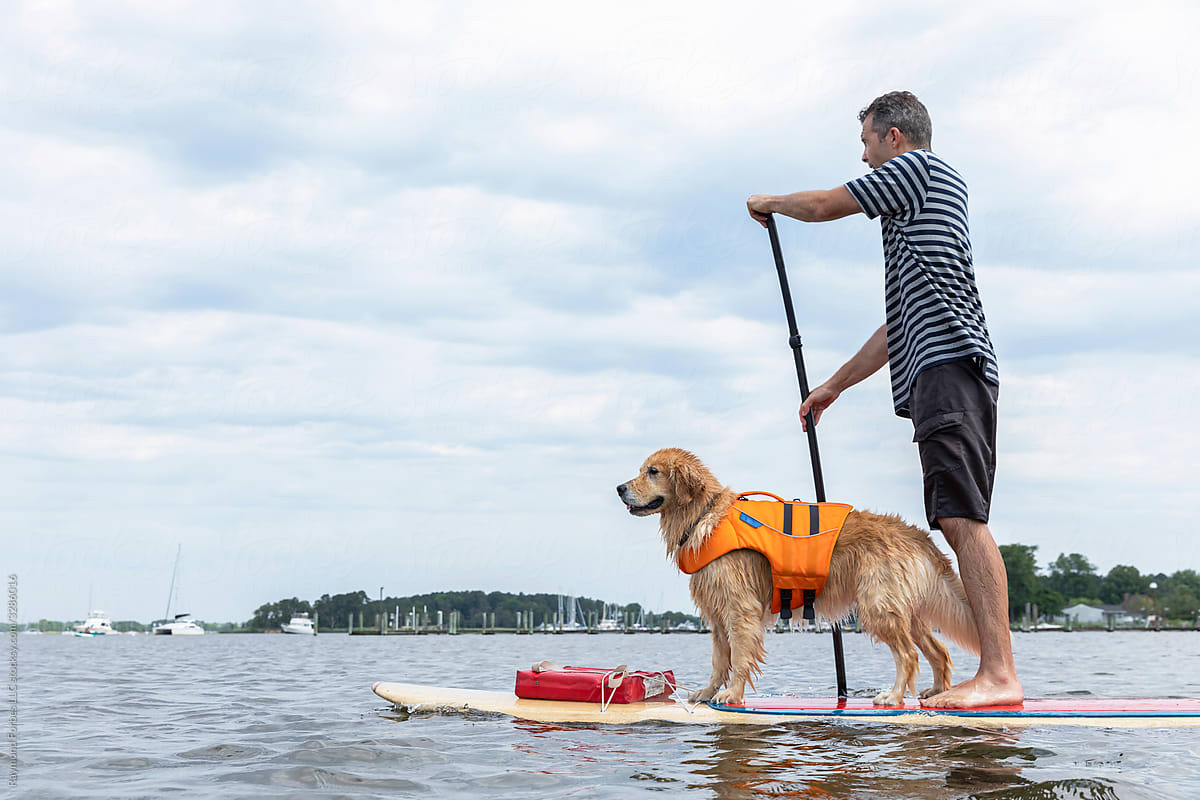 Portrait of Dog Having fun on Stand Up Paddleboard with owner