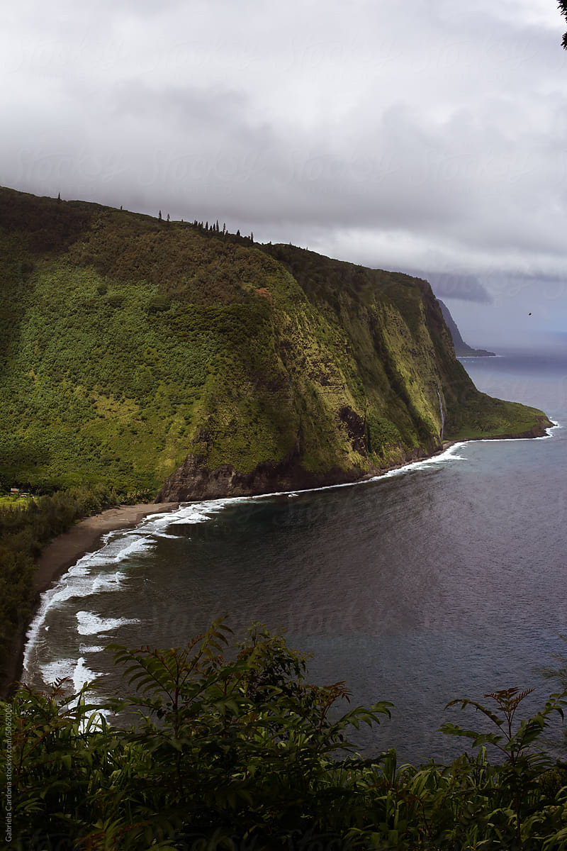 A view from the Big Islang, Hawai'i