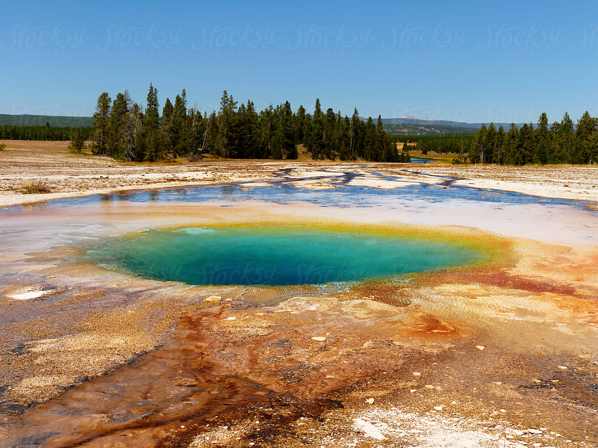 Grand Prismatic Spring In Yellowstone