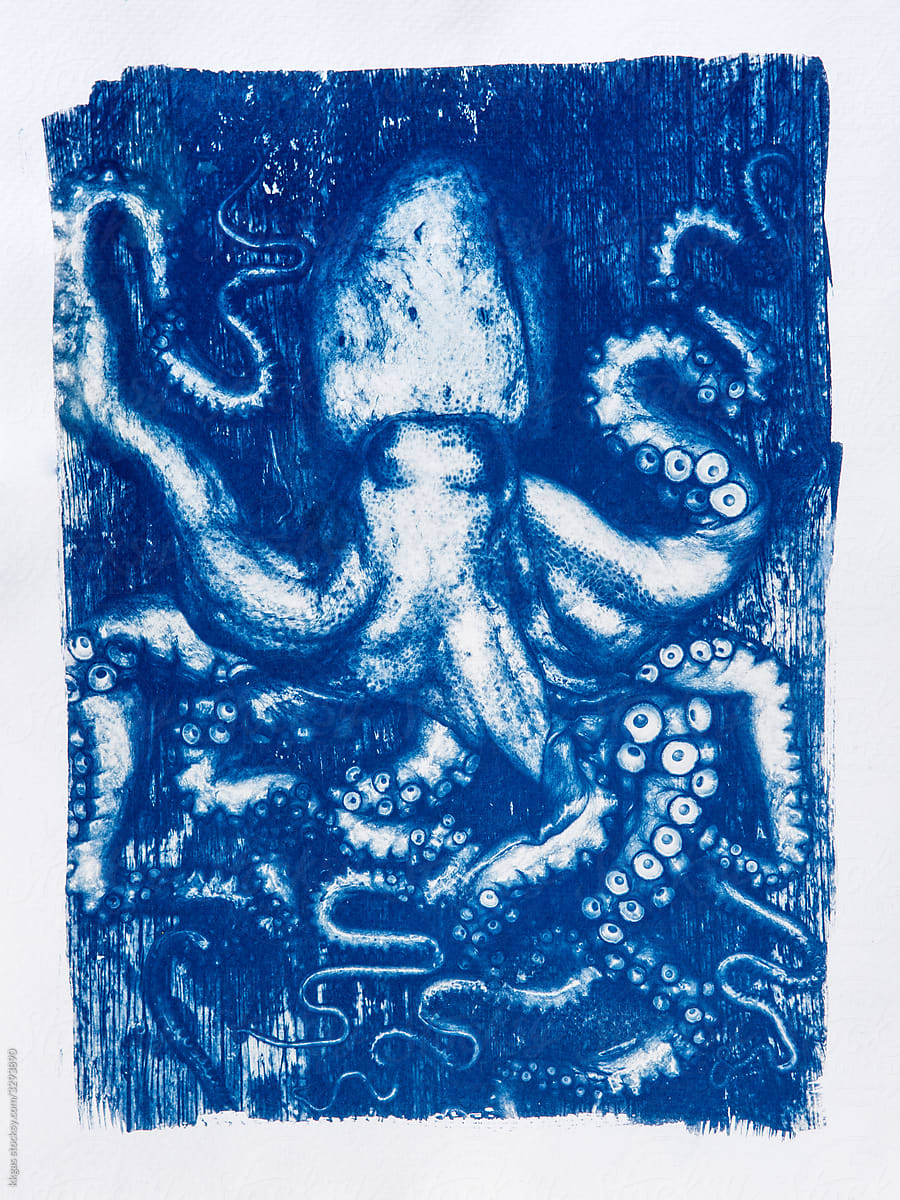 Cyanotype of an Octopus