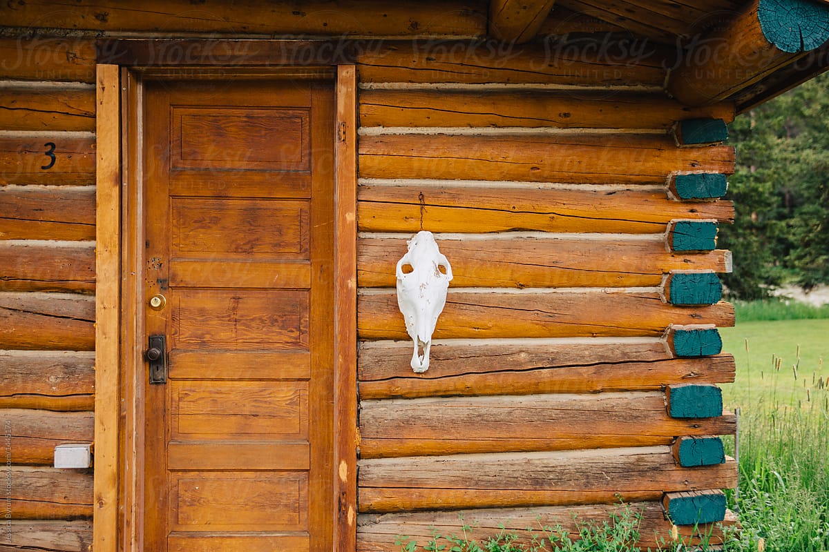 Animal skull hanging next to the door on a small cabin in the mountains.