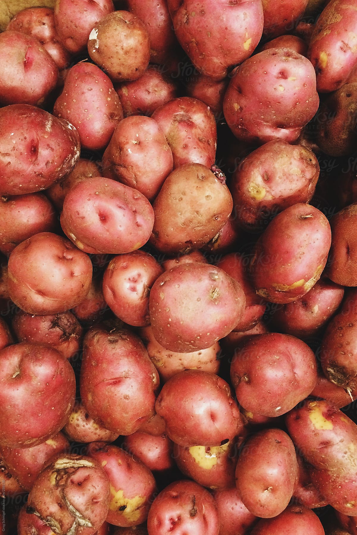 Potatoes for sale at a farmer\'s market