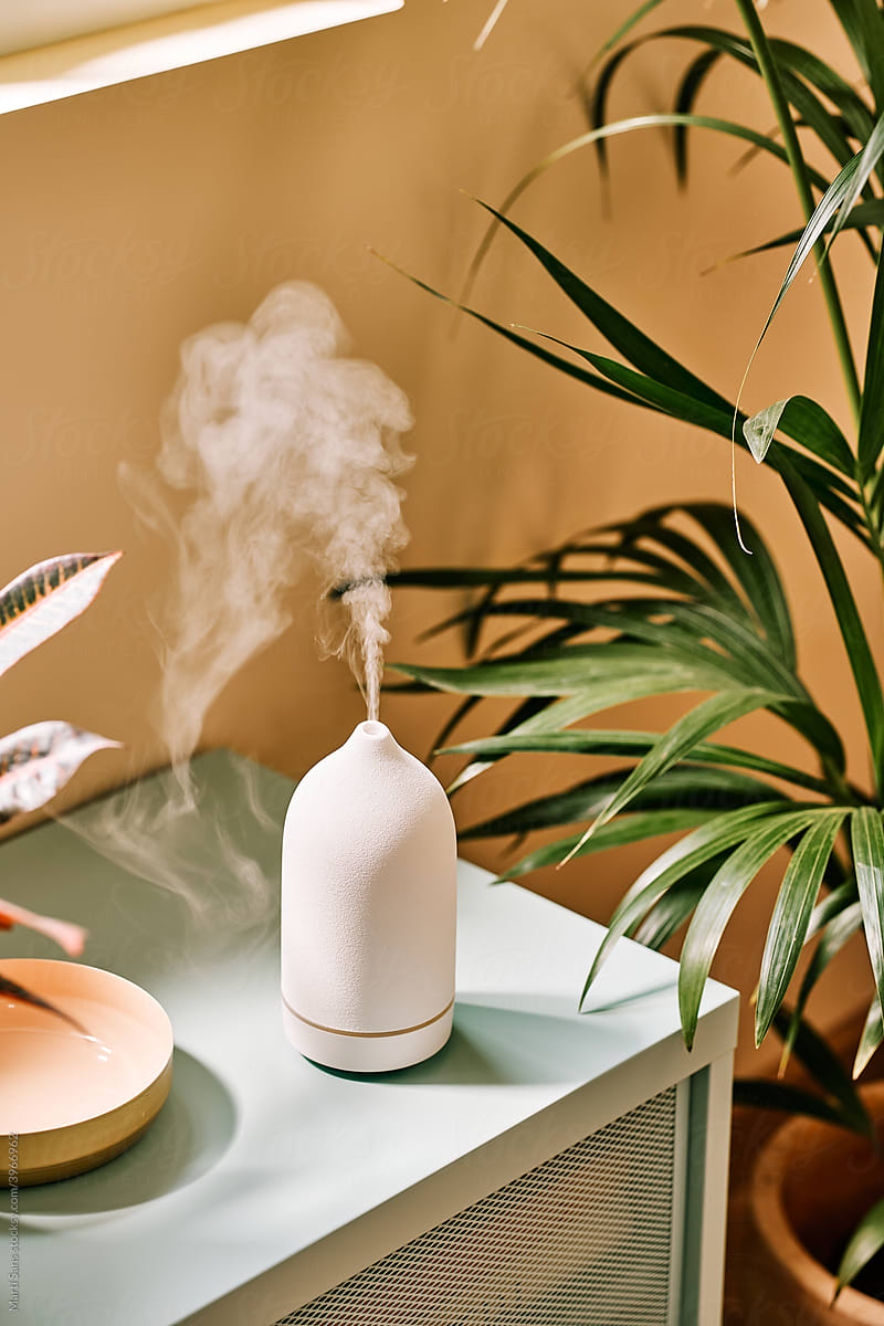 Diffuser with aromatic oils.