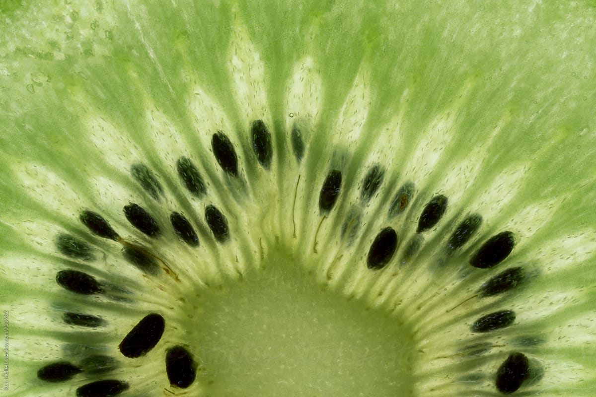 Closeup macro photograph abstract patterns kiwi fruit