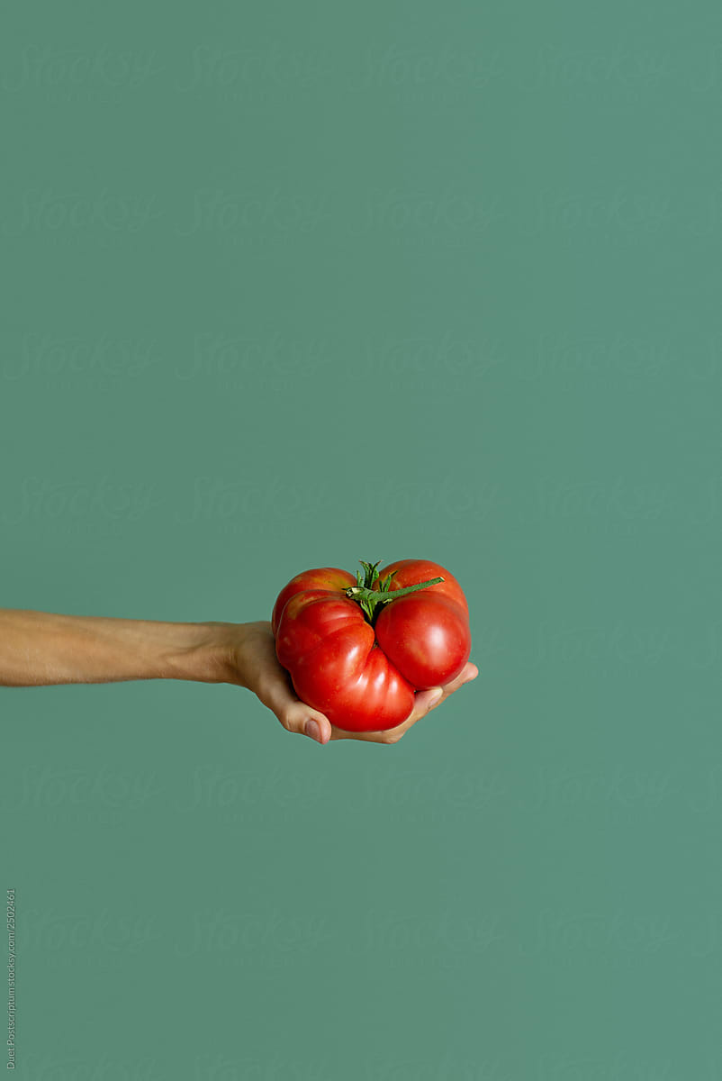 Hand holding tomato