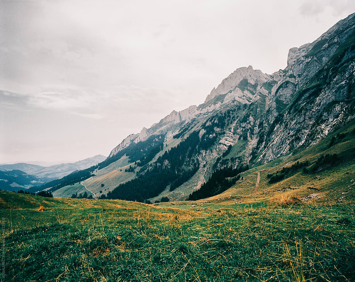 Green Grassy Swiss Alp Shot on Film