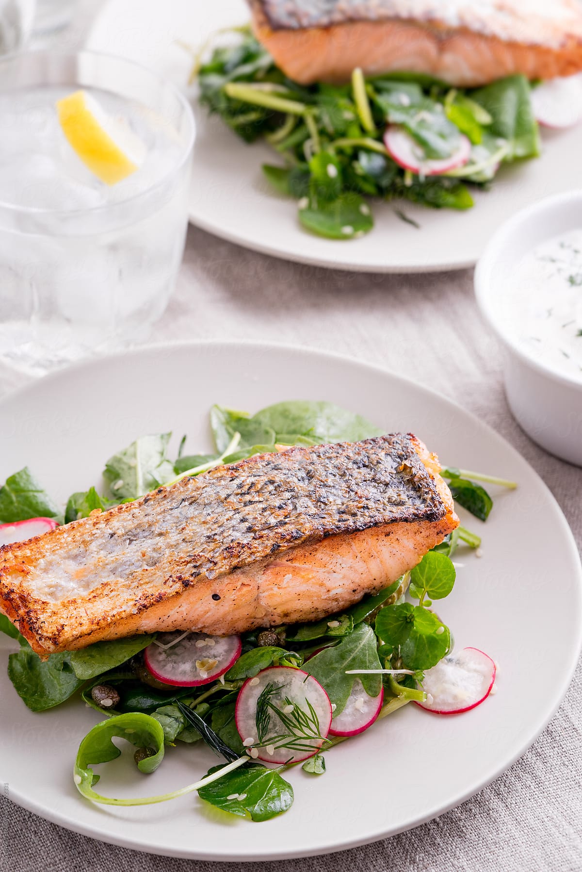 Roasted salmon fillets with spinach and radish salad.