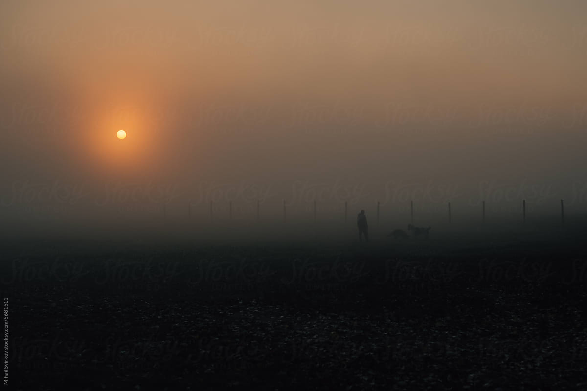 A man walks his dogs in the fog at dawn