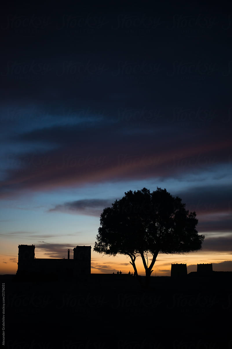 Tree Silhouette On A Sunset