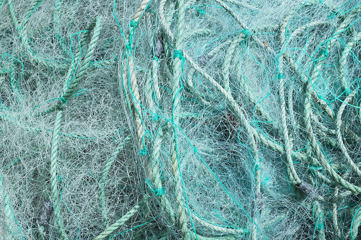 Close Up Of Fishing Net by Stocksy Contributor Urs Siedentop