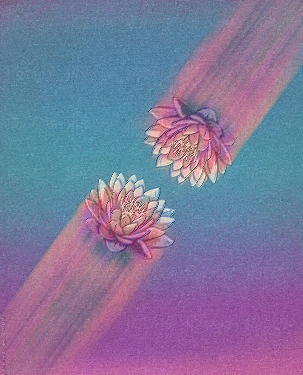 Lotus Flower Collision