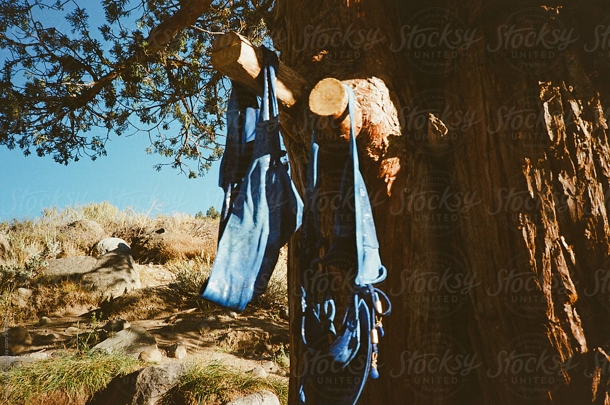 Film photo drying bikini on tree