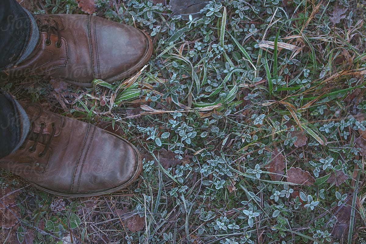 Overhead of man boots on a frosted green little leaves.