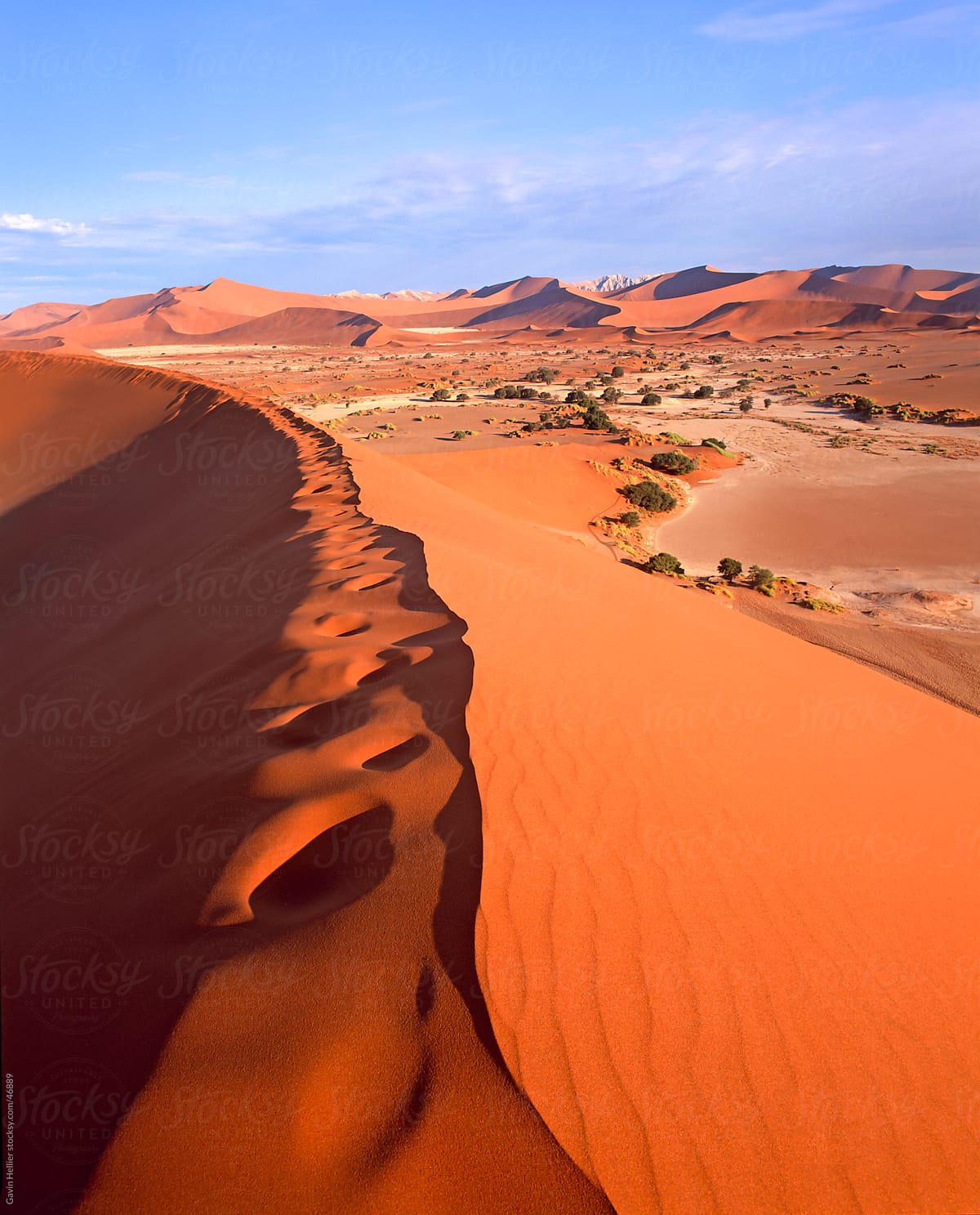 Sand dune formations, Sossusvlei, Namib-Naukluft Park, Namibia, Africa