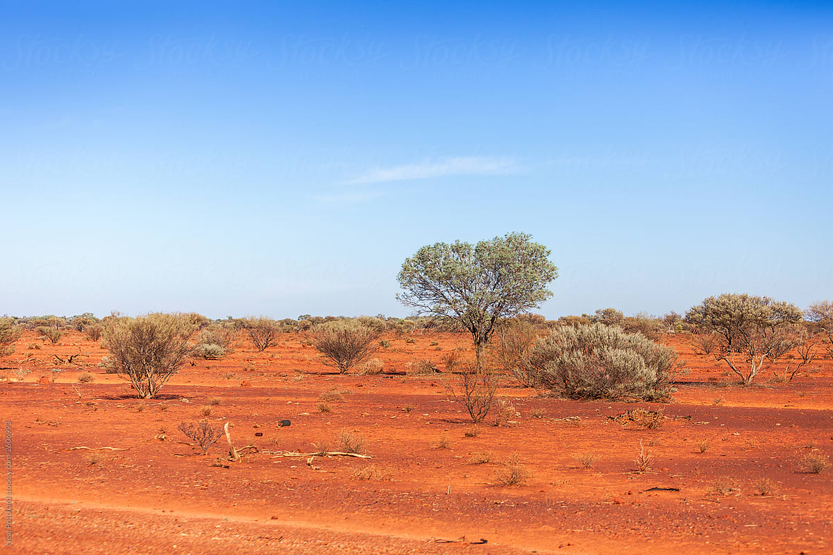 Red earth and outback desert of Western Australia