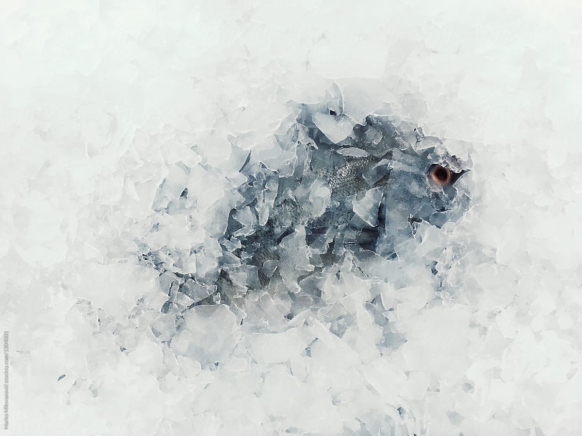Fish frozen in ice