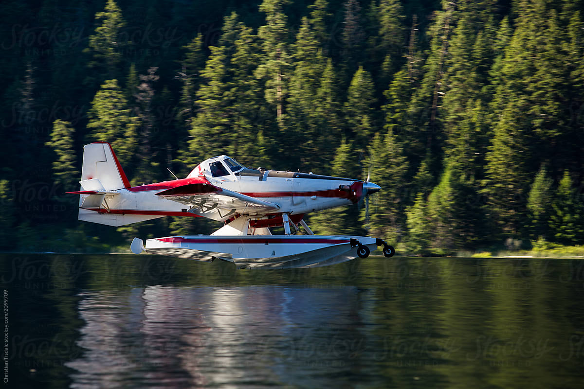 A forest fire fighting floatplane landing on a lake to fill it\'s tanks