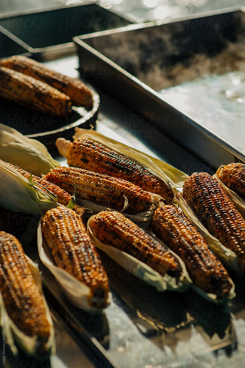 grilled Maize Cob on the steel table