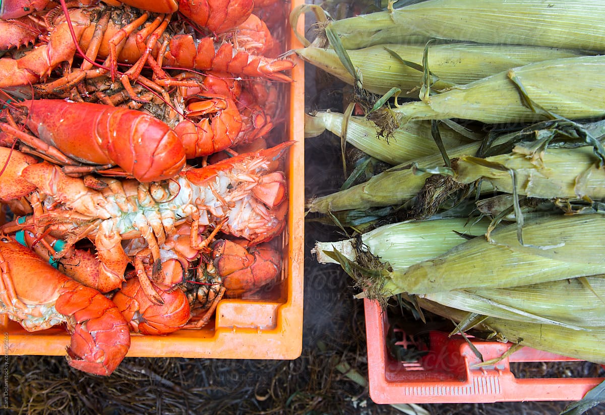 Lobster and Corn at a traditional Maine lobster bake