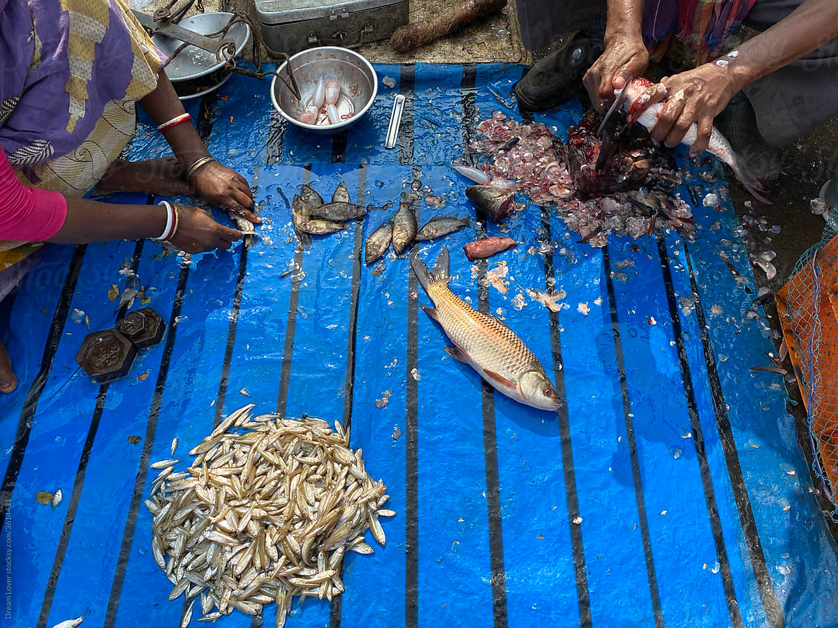 Selling fish in a local market of India