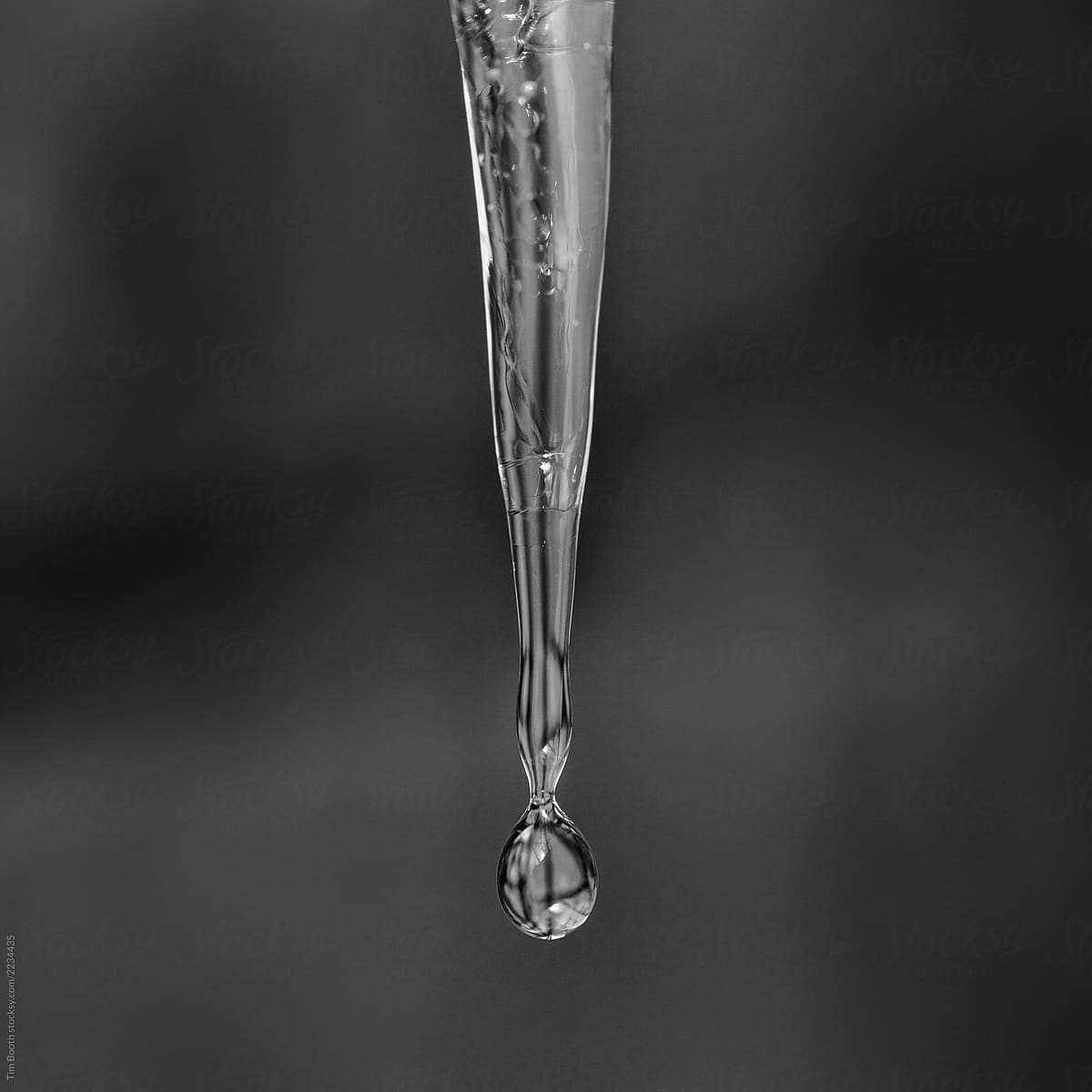A single icicle and water drop