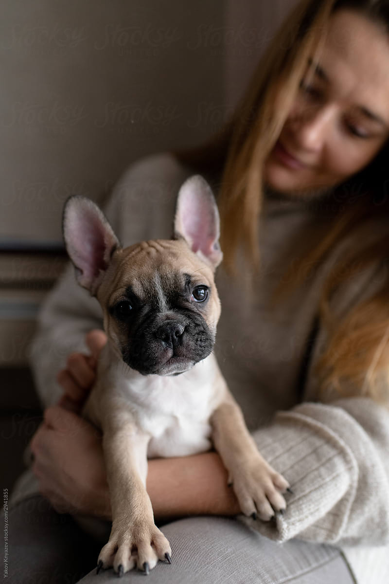 Woman holding little french bulldog puppy