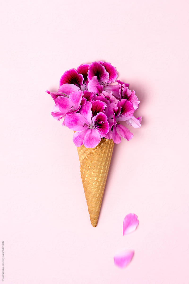 Geranium flowers in wafer ice cream cone with two falling petals