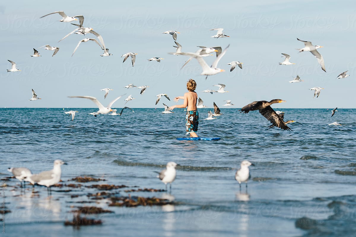 Boy and Seagulls on Beach