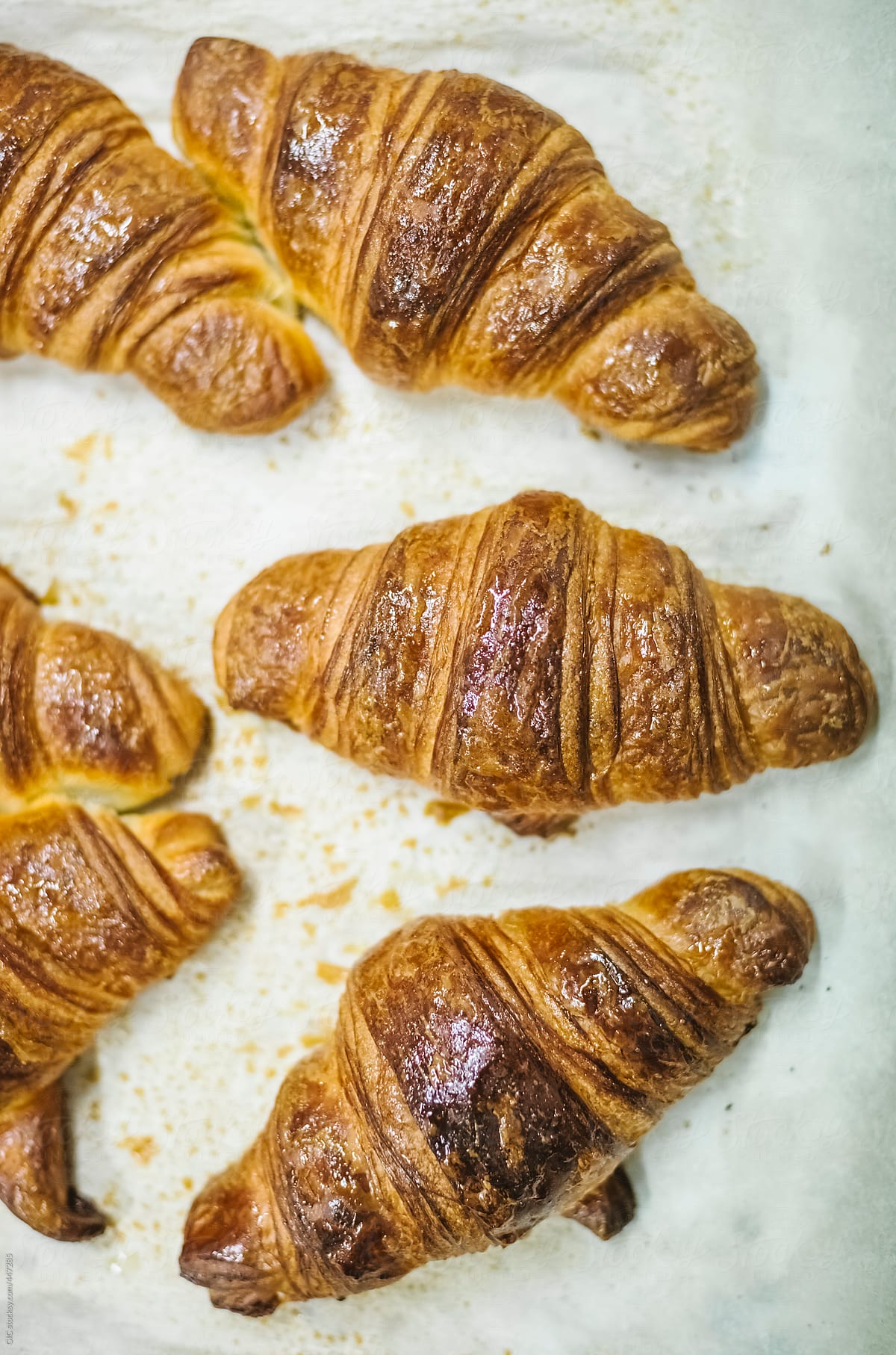Close up of baked french croissants